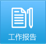 工作报告