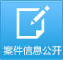 案件信息公开