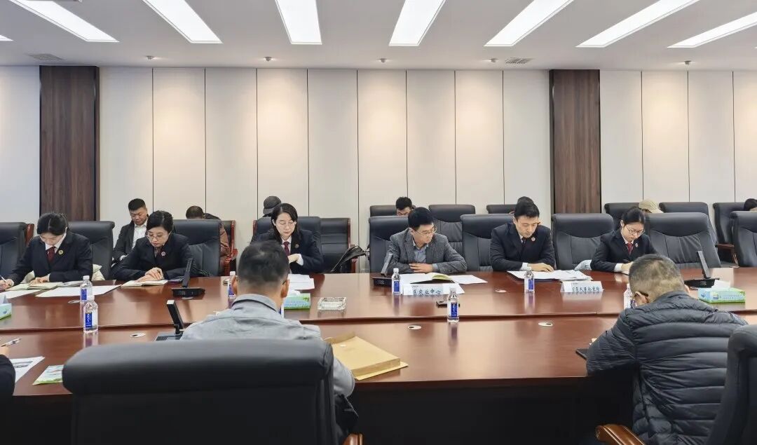【世界环境日】“检察蓝”守护“生态绿”——公益诉讼助力美丽金普建设